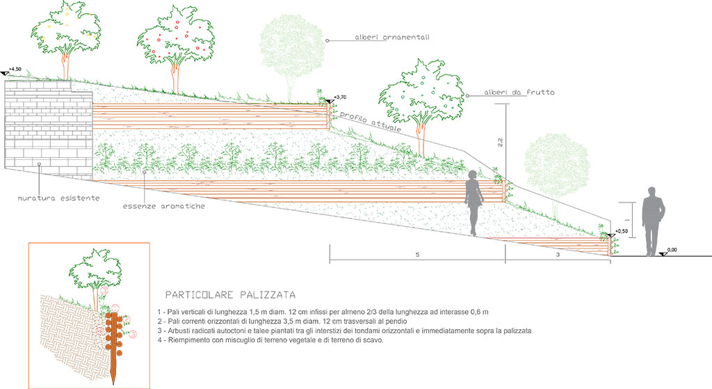 naturalistica